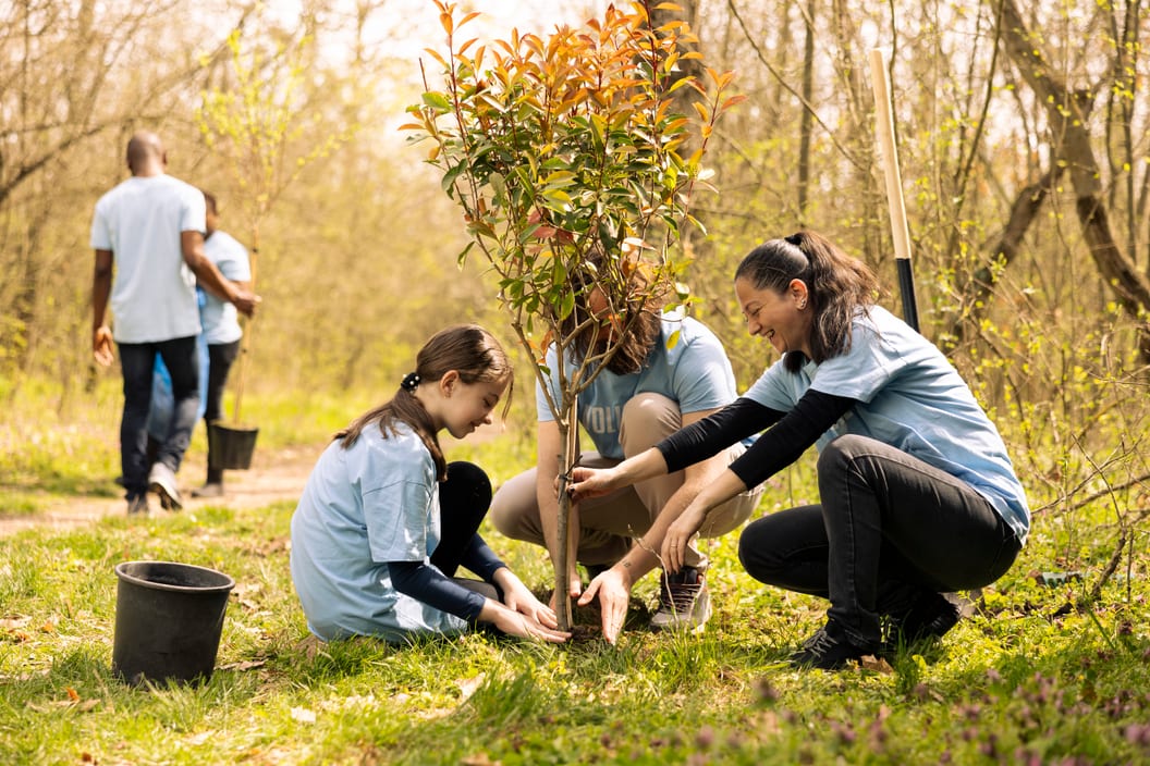 Jornada de reforestación urbana